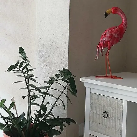 Apartment Le Flamant - P2 De 40m2 Grande Terrasse-parking-wifi La Grande-Motte