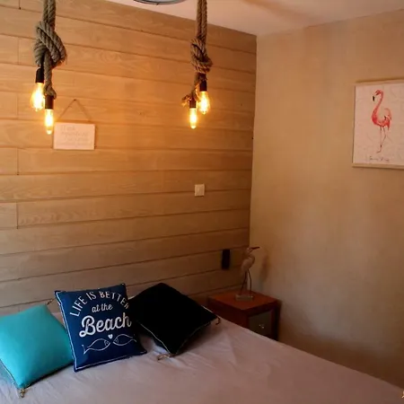 Apartment Le Flamant - P2 De 40m2 Grande Terrasse-parking-wifi