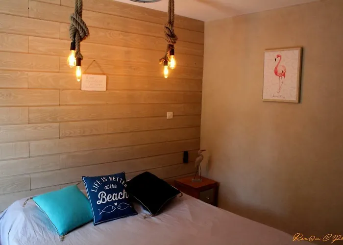 Appartement Le Flamant - P2 De 40m2 Grande Terrasse-parking-wifi